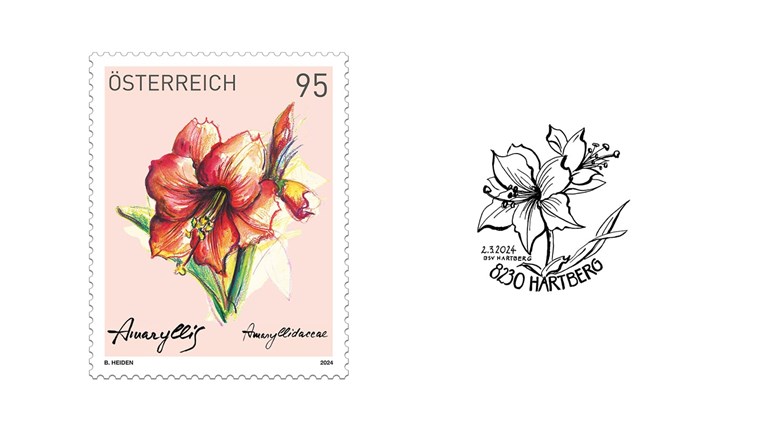 Special stamp Amaryllis